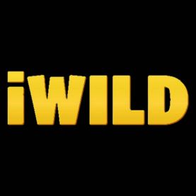 iWild polskie kasyna online